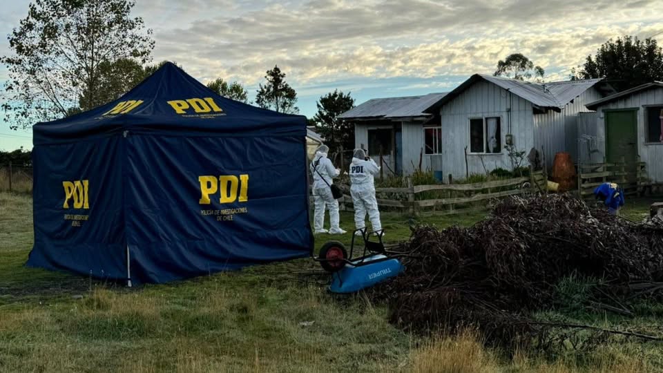 Tribunal condenó a hombre por dar muerte a su hermano y a su abuela de 75 años en Chiloé