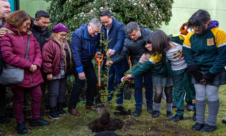 Puerto Montt y Conaf inauguraron en la región el programa “Mi pueblo, mi árbol”