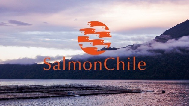 Declaración de SalmonChile ante alza de aranceles por parte del Gobierno de Estados Unidos