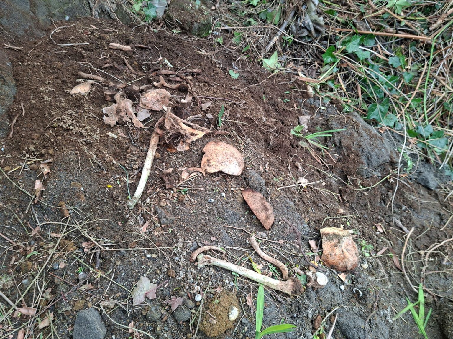 Encuentran restos óseos fuera de cementerio en Puerto Montt