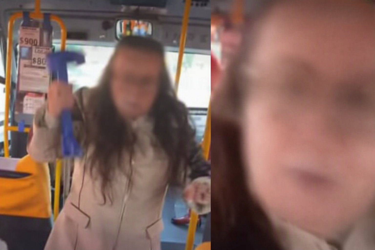 Confirman desvinculación de chofer que junto a una mujer habrían agredido a estudiante embarazada en Puerto Montt