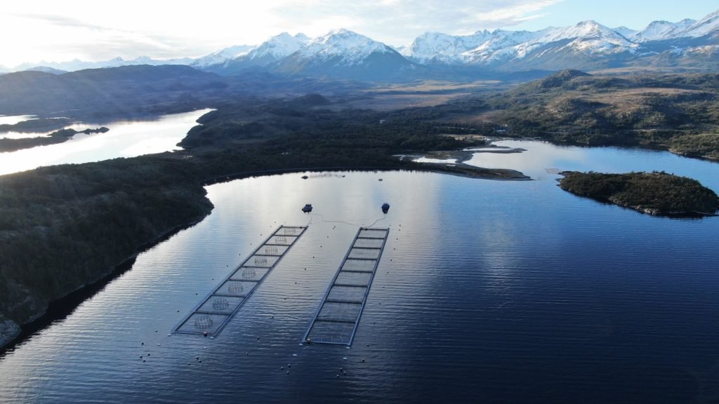 TC golpeó la microrelocalización al quedar fuera del proyecto la vía que agilizaría el cambio de concesiones salmoneras