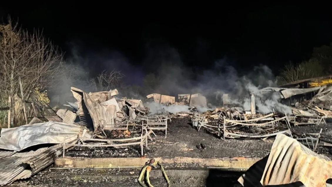 Tragedia en Pitrufquén: incendio en hogar de adultos mayores dejó 16 muertos
