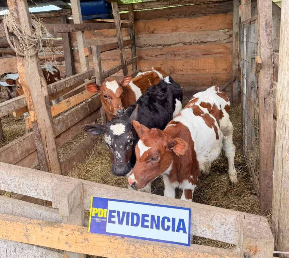 DETENIDO POR RECEPTACIÓN
