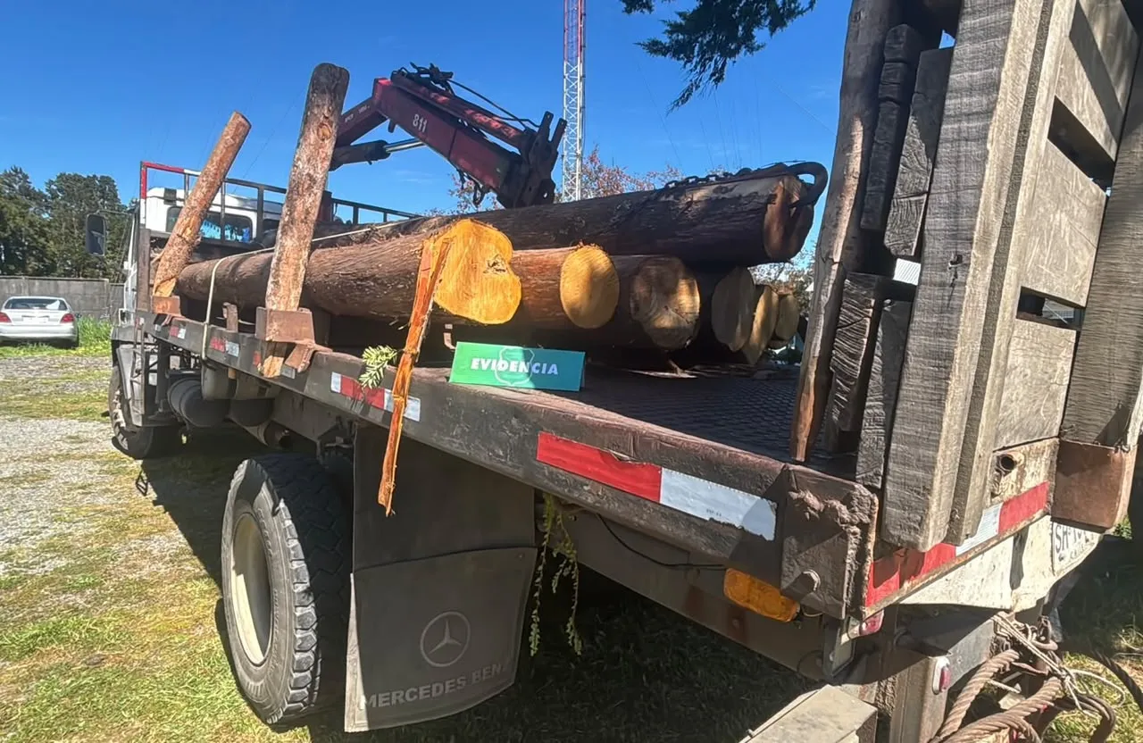 CARABINEROS INCAUTÓ MADERA NATIVA